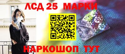 стафф Кингисепп