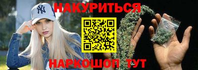 стафф Кингисепп