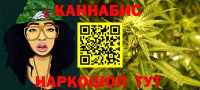 стафф Кингисепп