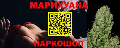 стафф Кингисепп