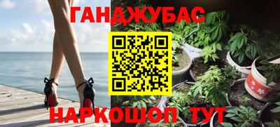 стафф Кингисепп