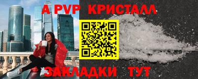 стафф Кингисепп