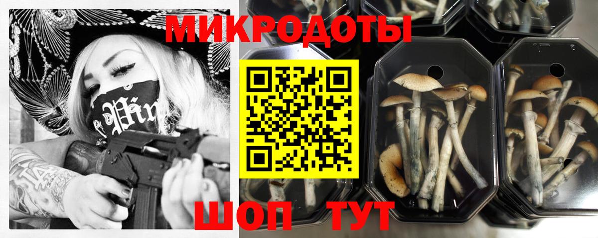 Галлюциногенные грибы Cubensis Киреевск