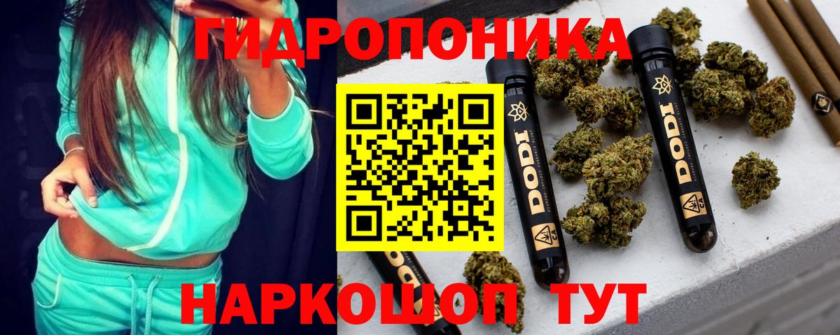 Бошки марихуана конопля Киреевск